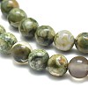 Natural Rhyolite Jasper Beads Strands G-F674-03A-6mm-3