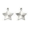 304 Stainless Steel Pendants STAS-C167-08G-P-1