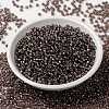 MIYUKI Round Rocailles Beads SEED-JP0009-RR1836-2