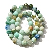 Natural Chrysocolla Beads Strands G-F784-A01-01-3