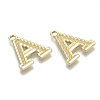 Alloy Pendants PALLOY-N157-002A-NR-2
