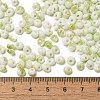 Baking Paint Glass Seed Beads X1-SEED-F006-01A-07-4