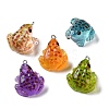 Luminous Transparent Resin Pendants X-RESI-F077-01P-1