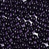 FGB Transparent Glass Seed Beads SEED-N013-01C-16-4