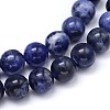 Round Natural Sodalite Beads Strands X-G-F222-39-10mm-2