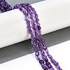 Natural Amethyst Beads Strands G-P497-01B-19-2