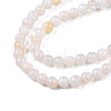 Natural Freshwater Shell Beads Strands BSHE-T009A-01B-3