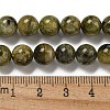 Natural Green Tourmaline Beads Strands G-B099-C05-04-5