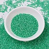 MIYUKI Delica Beads SEED-X0054-DB0691-2