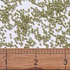 MIYUKI Delica Beads SEED-JP0008-DB2124-4