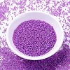 MIYUKI Delica Beads SEED-X0054-DB2049-2