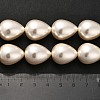 Electroplate Shell Pearl Beads Strands BSHE-G010-16x20mm-01-5