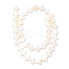 Natural Freshwater Shell Beads Strands SHEL-F007-02-2