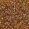 TOHO 6/0 Round Beads SEED-TR06-0022-4