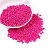 Baking Paint Glass Seed Beads SEED-T006-03R-3