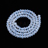 Glass Beads Strands EGLA-A044-J4mm-D06-3
