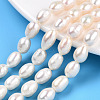 Natural Cultured Freshwater Pearl Beads Strands PEAR-N012-07R-1