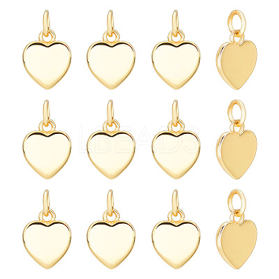 12Pcs Brass Charms KK-GO0002-22-1