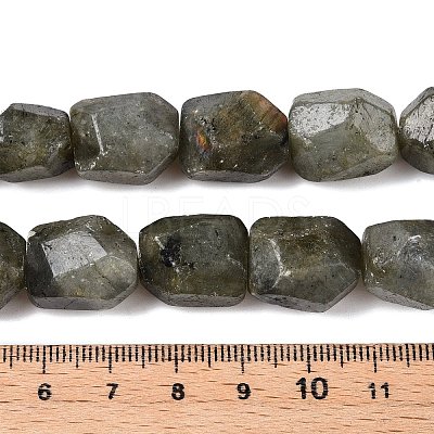 Natural Labradorite Beads Strands G-N342-146-1