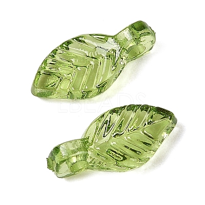 Transparent Acrylic Charms TACR-F009-11C-1
