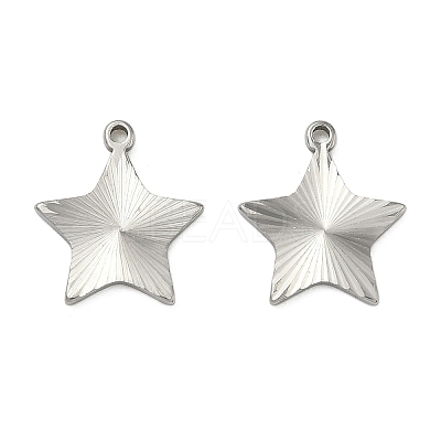 304 Stainless Steel Pendants STAS-C167-08G-P-1