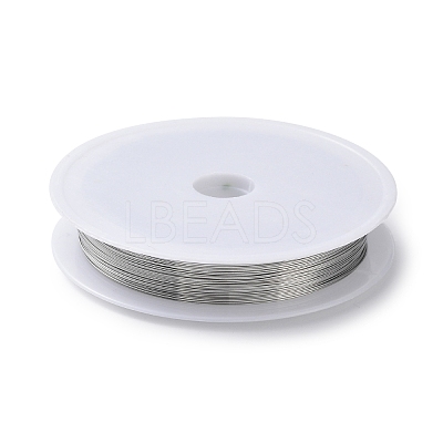Non-Tarnish 10 Rolls 304 Stainless Steel Wire TWIR-H001-01A-P-1