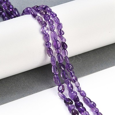Natural Amethyst Beads Strands G-P497-01B-19-1