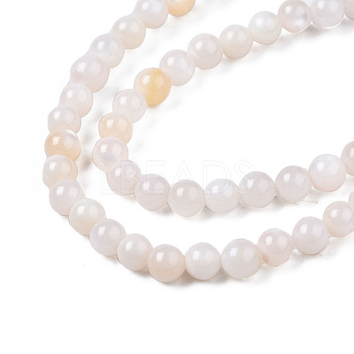 Natural Freshwater Shell Beads Strands BSHE-T009A-01B-1