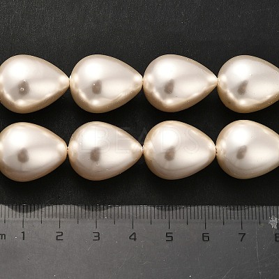 Electroplate Shell Pearl Beads Strands BSHE-G010-16x20mm-01-1