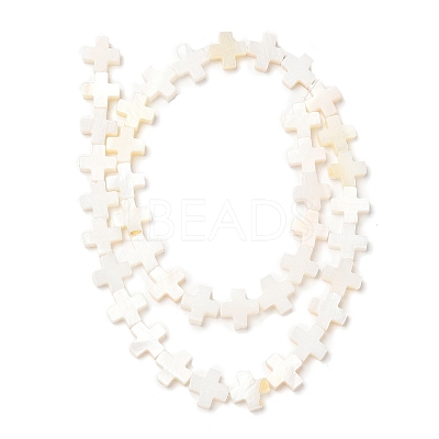 Natural Freshwater Shell Beads Strands SHEL-F007-02-1