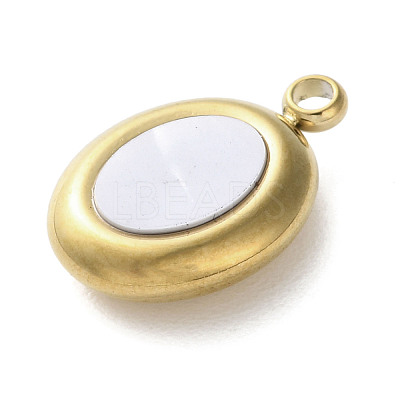 304 Stainless Steel Acrylic Pendants LS-STAS-M091-02E-G-1