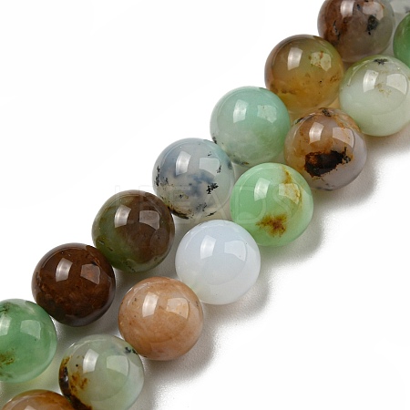 Natural Serpentine Beads Strands G-R494-A03-03-1
