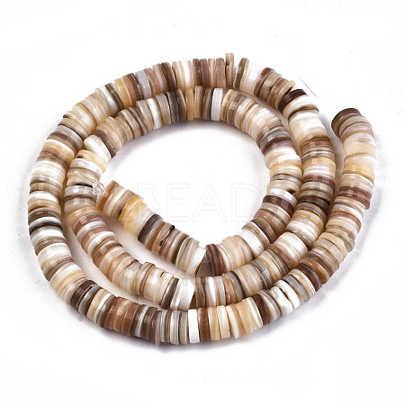 Natural Freshwater Shell Beads Strands SHEL-N003A-02-1