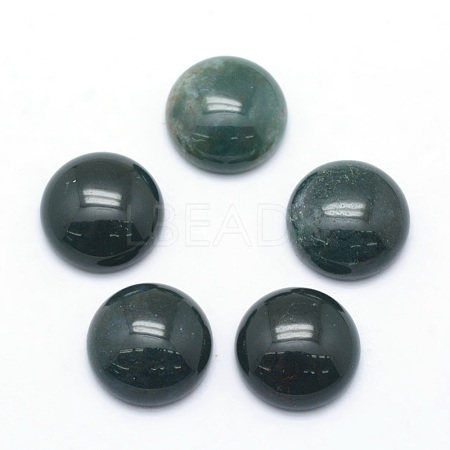 Natural Moss Agate Cabochons G-P393-R28-12mm-1