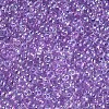 11/0 Grade A Round Glass Seed Beads SEED-N001-E-311-2