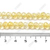 Crack Glass Beads Strands GLAA-M049-01L-4