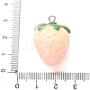 Fruit Opaque Resin Imitation Food Pendants RE-CBA18E8-01P-01-3