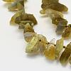 Natural Labradorite Beads Strands G-K202-11A-3