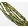 Natural Idocrase Beads Strands X-G-N165-7-6