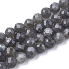 Natural Labradorite Beads Strands X-G-S345-8mm-005-1