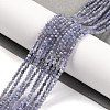 Natural Tanzanite Beads Strands X-G-F770-C04-03-1