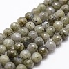 Natural Labradorite Beads Strands G-G736-04-8mm-1