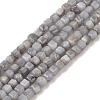 Natural Freshwater Shell Dyed Beads Strands SHEL-R100-11A-02-1