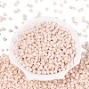 FGB Opaque Colours Glass Seed Beads SEED-Q040-07A-A02-2