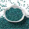 Baking Paint Glass Seed Beads X-SEED-S042-15A-17-2