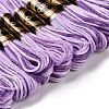 10 Skeins 6-Ply Polyester Embroidery Floss OCOR-K006-A34-2