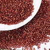MIYUKI Delica Beads SEED-X0054-DB0601-1