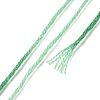 10 Skeins 6-Ply Polyester Embroidery Floss OCOR-K006-A25-3