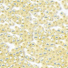 TOHO 11/0 Round Beads SEED-XTR11-2125-2