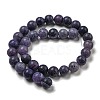 Natural Weathered Agate Beads Strands G-P538-A01-07-3